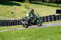 Lower Group Green Bikes